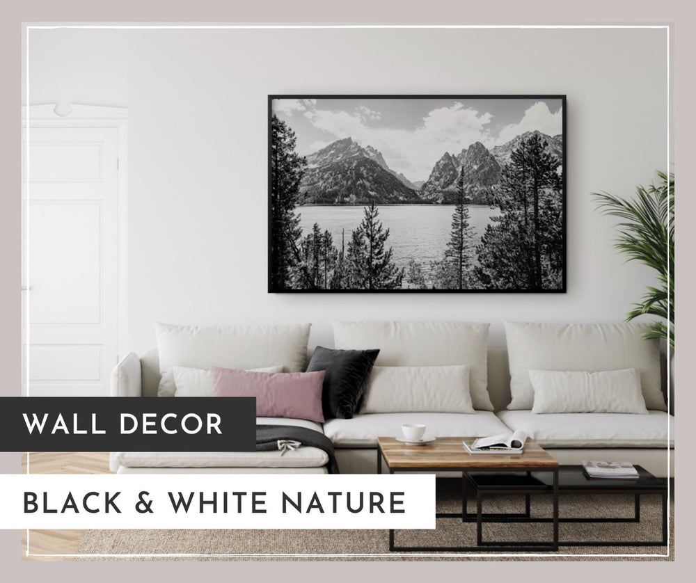 Black and White Nature Wall Art