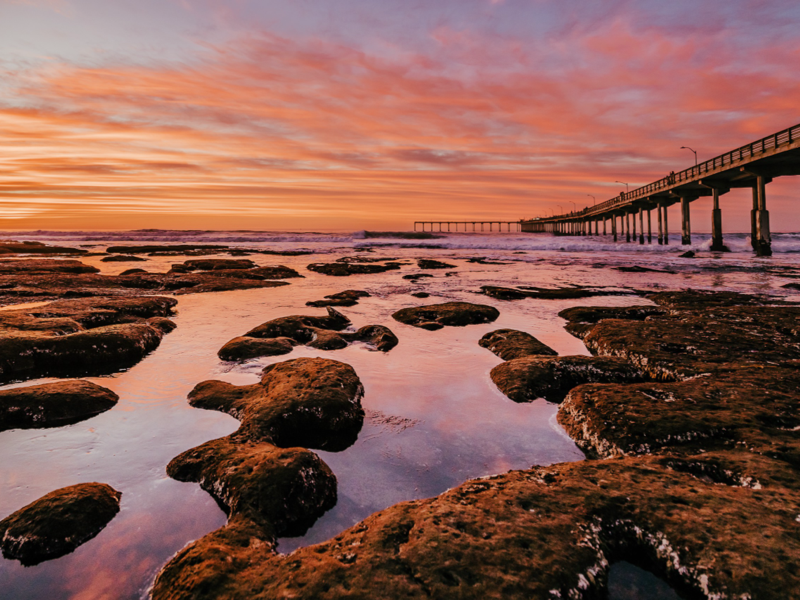 Coastal Wall Art