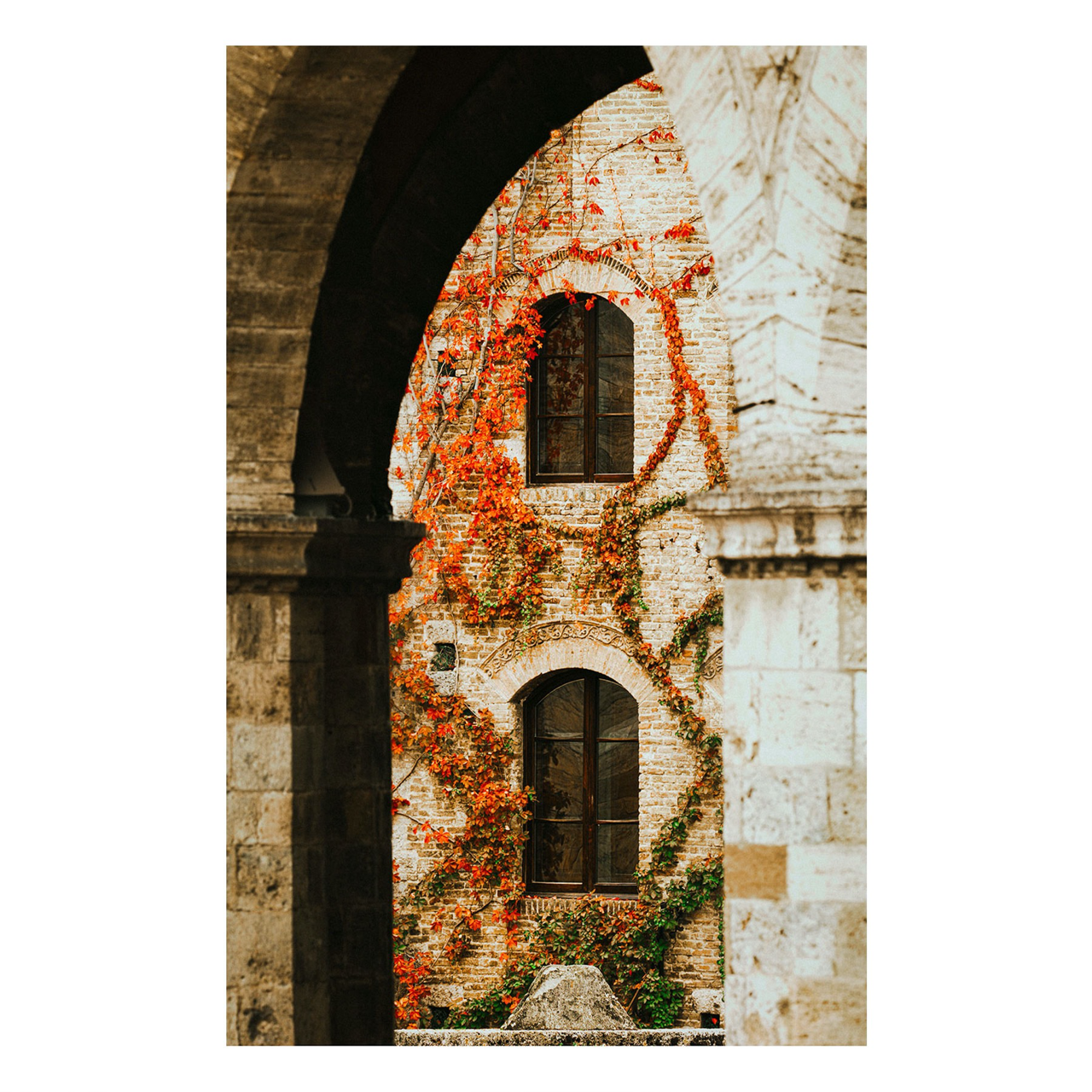 "Vines in View" | Architecture Photography Print